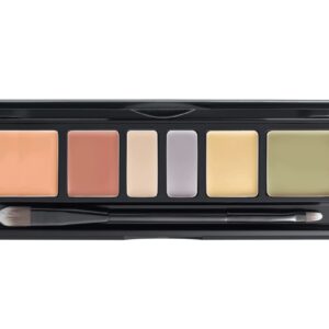 Art concealer pallete