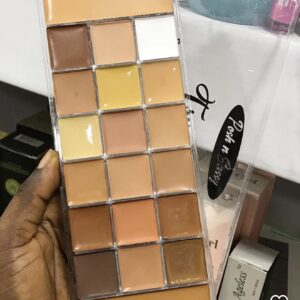 Posh and sassy concealer pallet