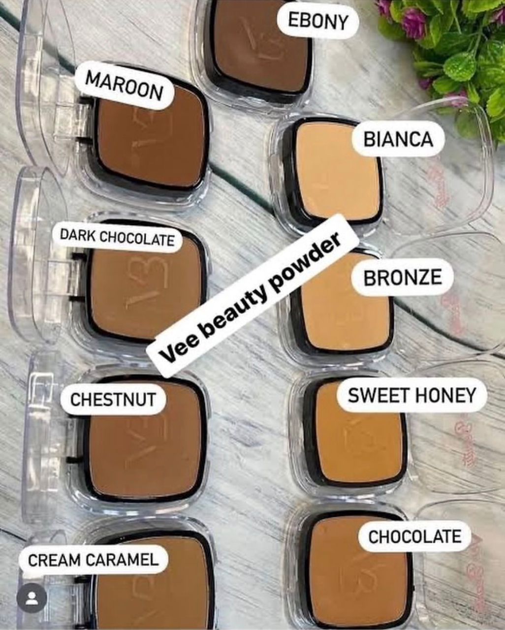 VEE BEAUTY PRO MATTE SINGLE POWDER